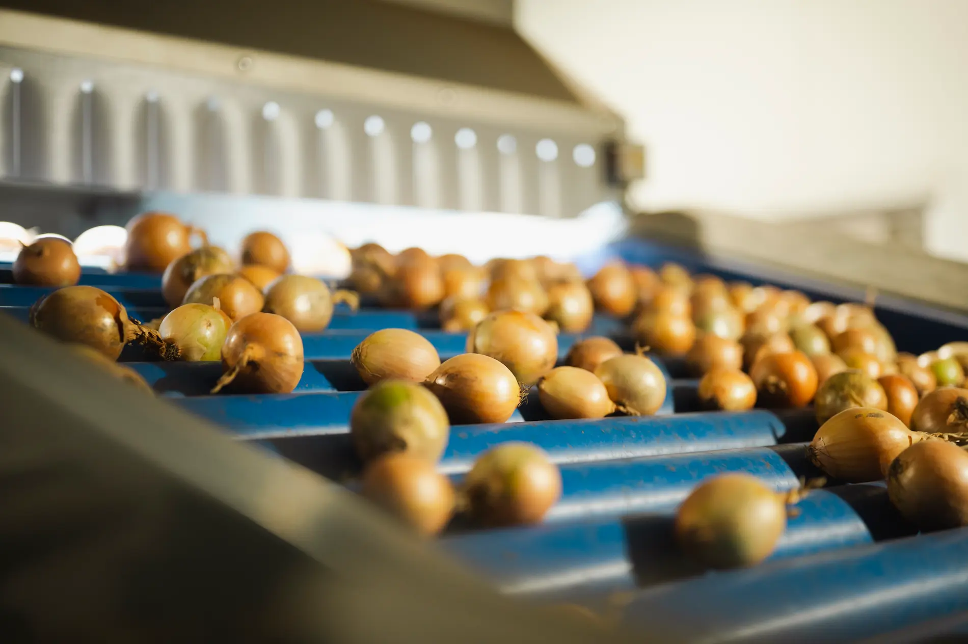 Kwaliteit sorteren met de QualityGrader
