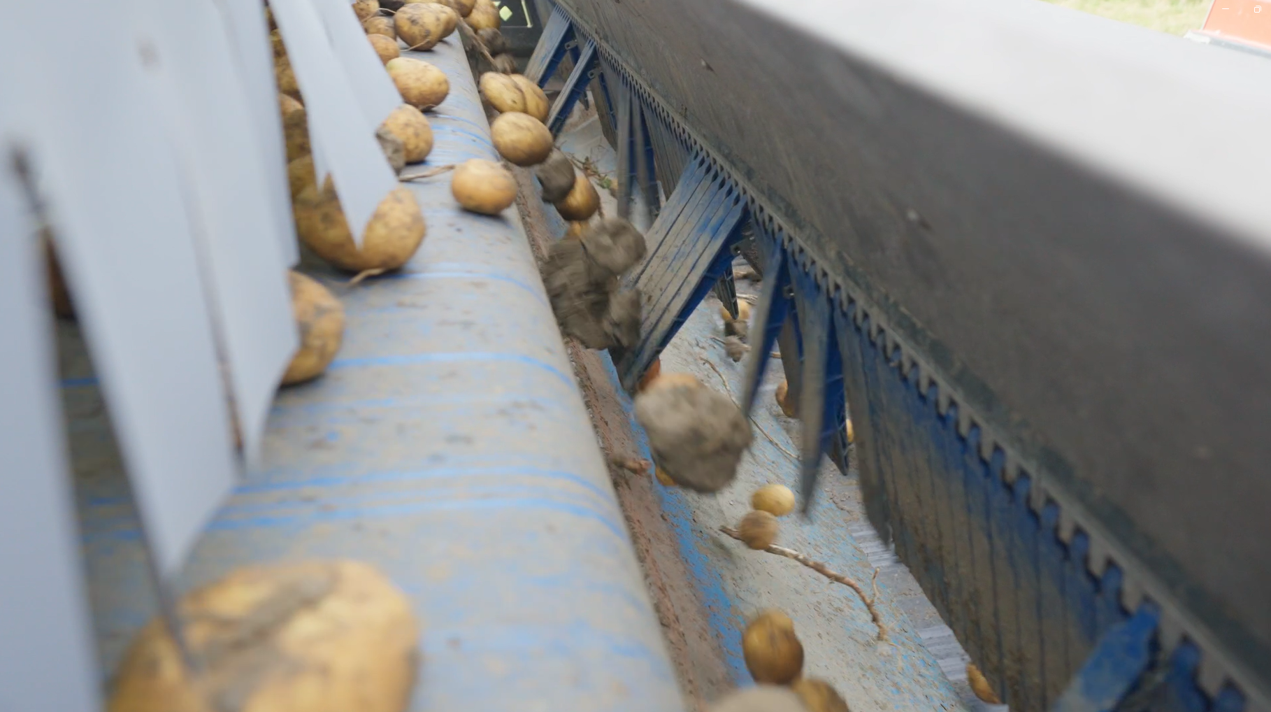 Divider select voor sorteren van aardappelen
