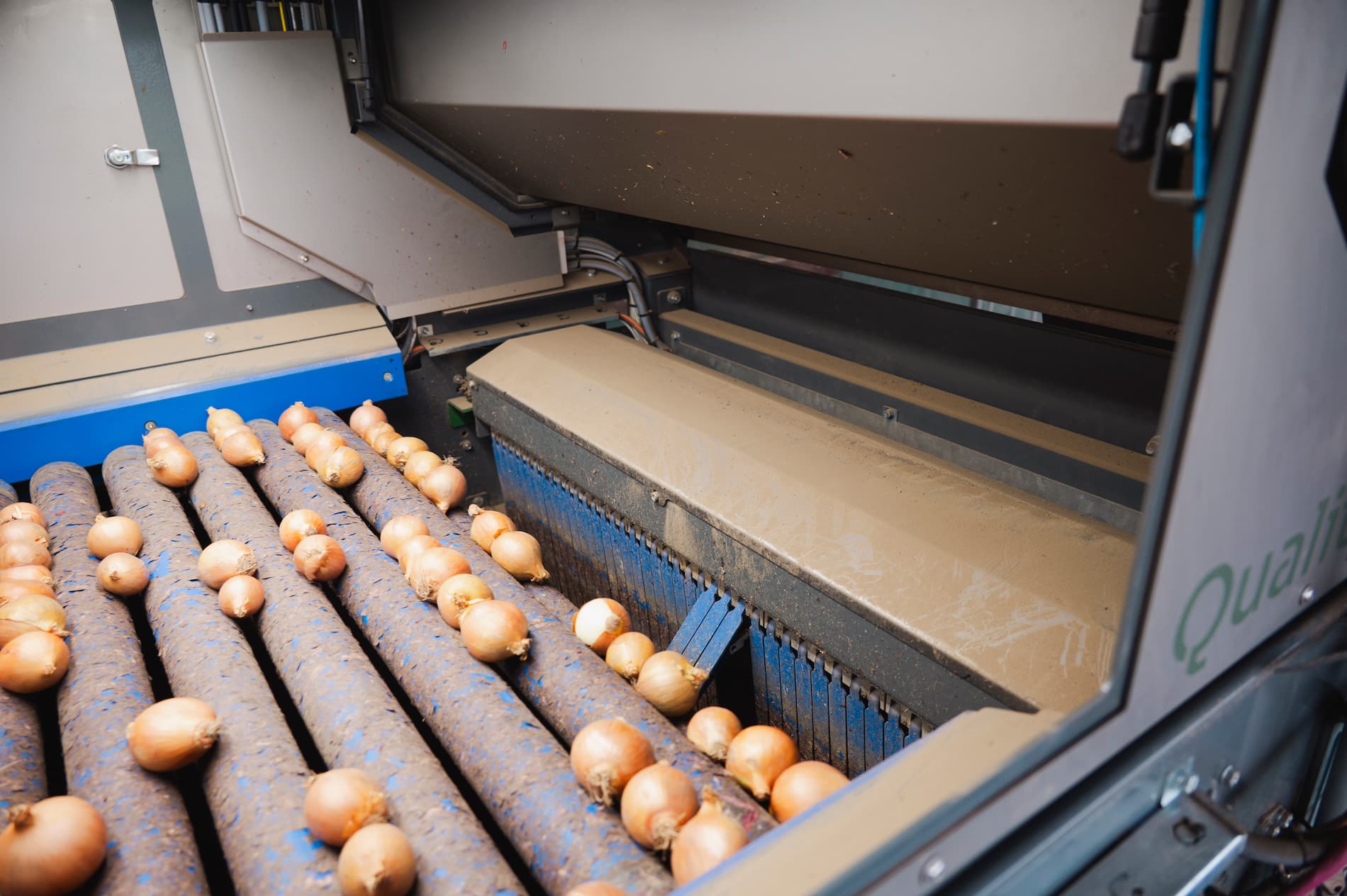 Optische sorteermachine voor uien