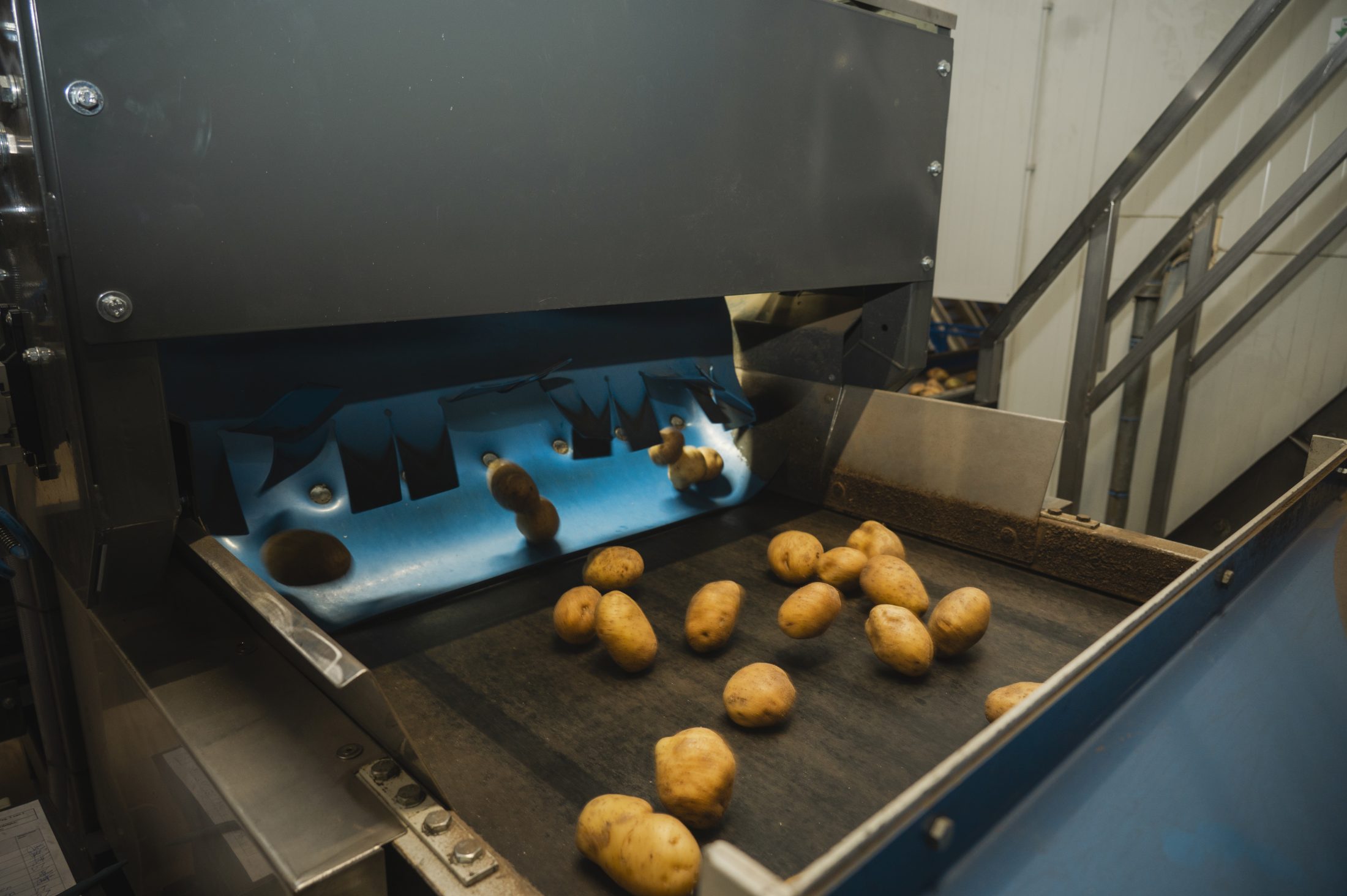 Sorteermachines voor verwerkers van aardappelen en uien Flikweert Vision