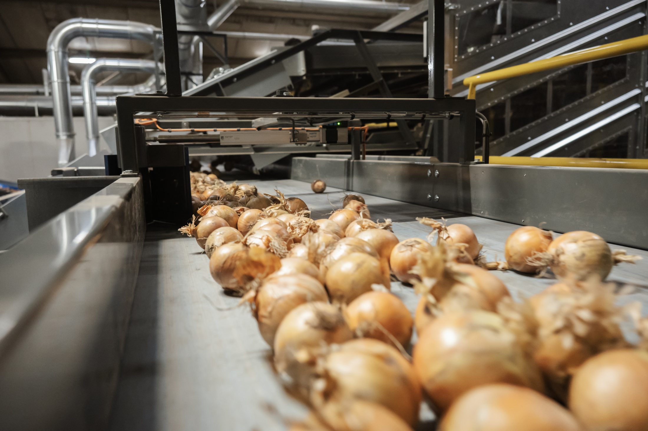 Sorteermachines voor verwerkers van uien Flikweert Vision